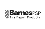 Barnes PSP